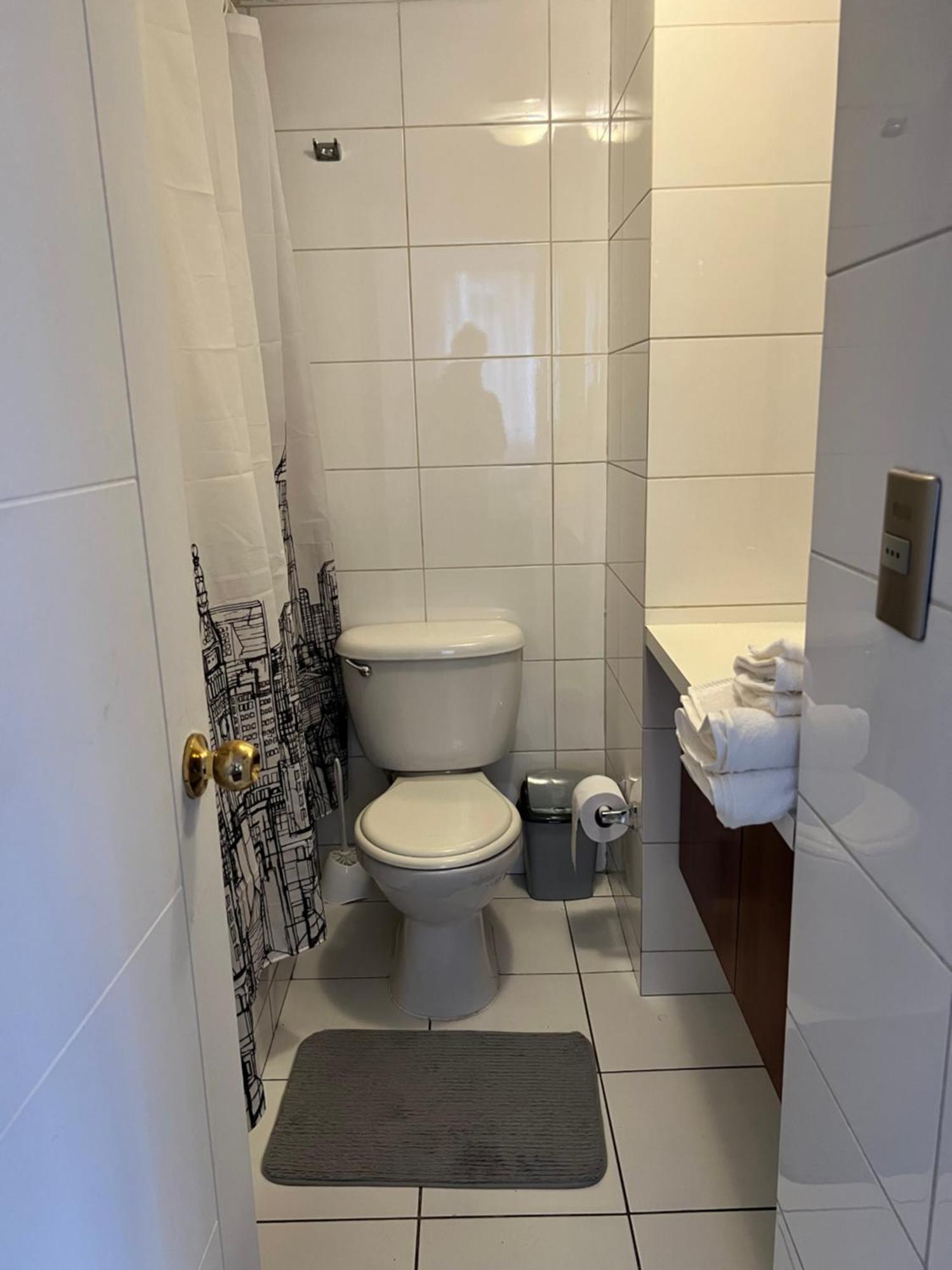 Apartamento Departamento Centrico 1 Ambiente Santiago